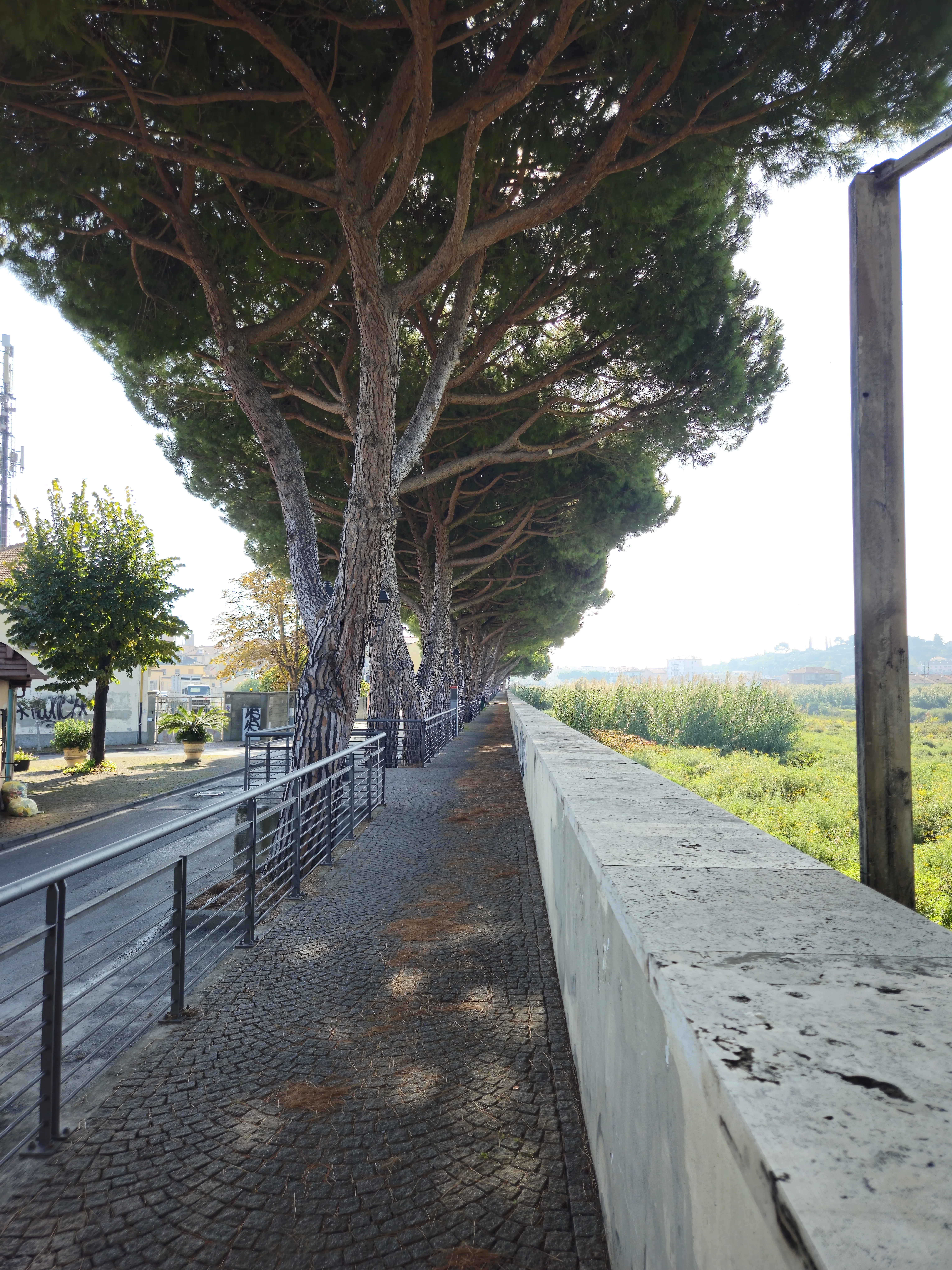 Albenga street view 1